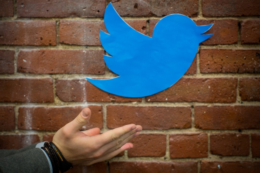 seo, marketing, search engine optimization, organic search, ppc, google, bing, marketing, search engine optimization, content